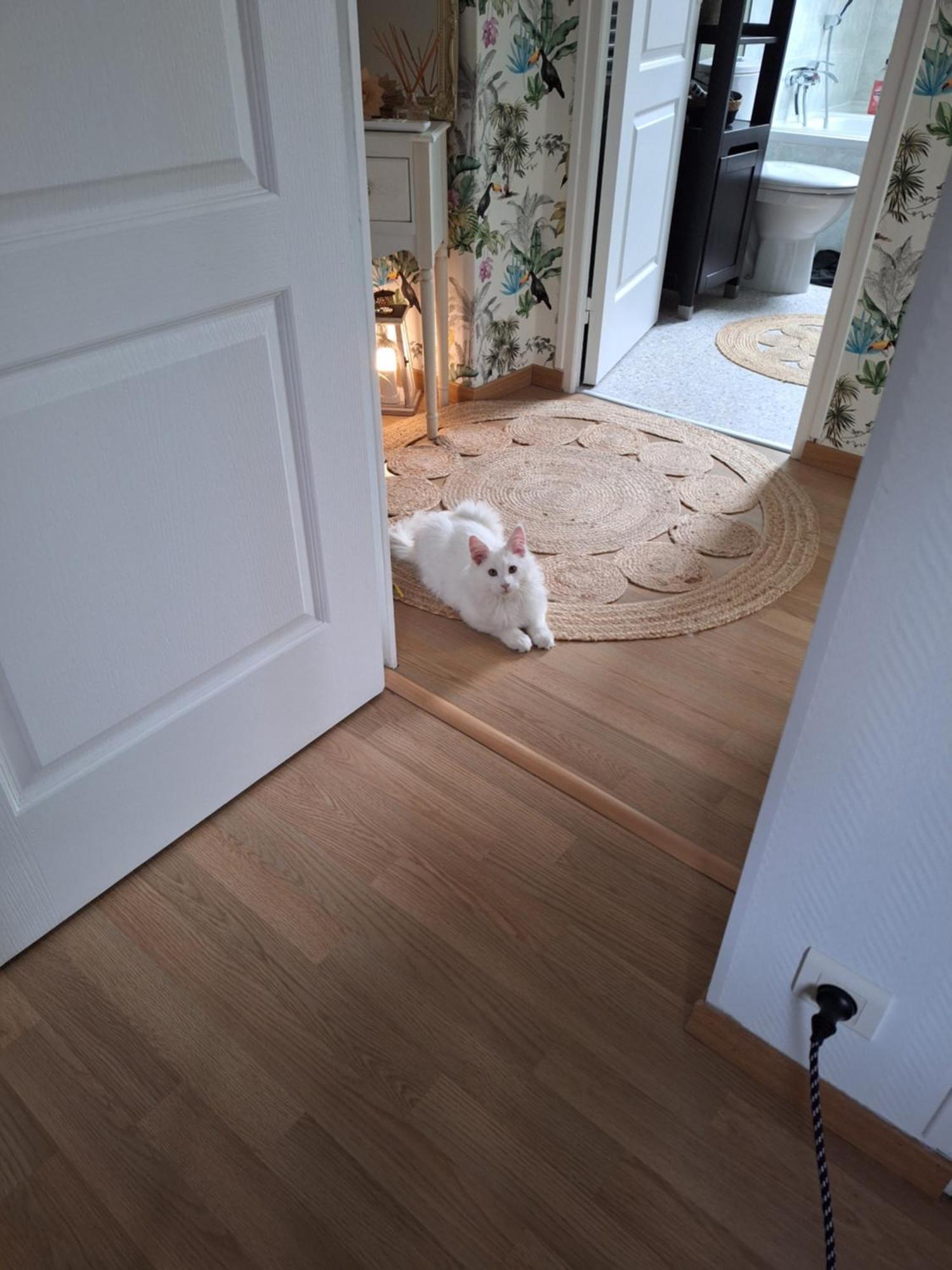 Chambre Climatisee Au Coeur De Brive Avec Televiseur Connecte Wifi Netflix מראה חיצוני תמונה